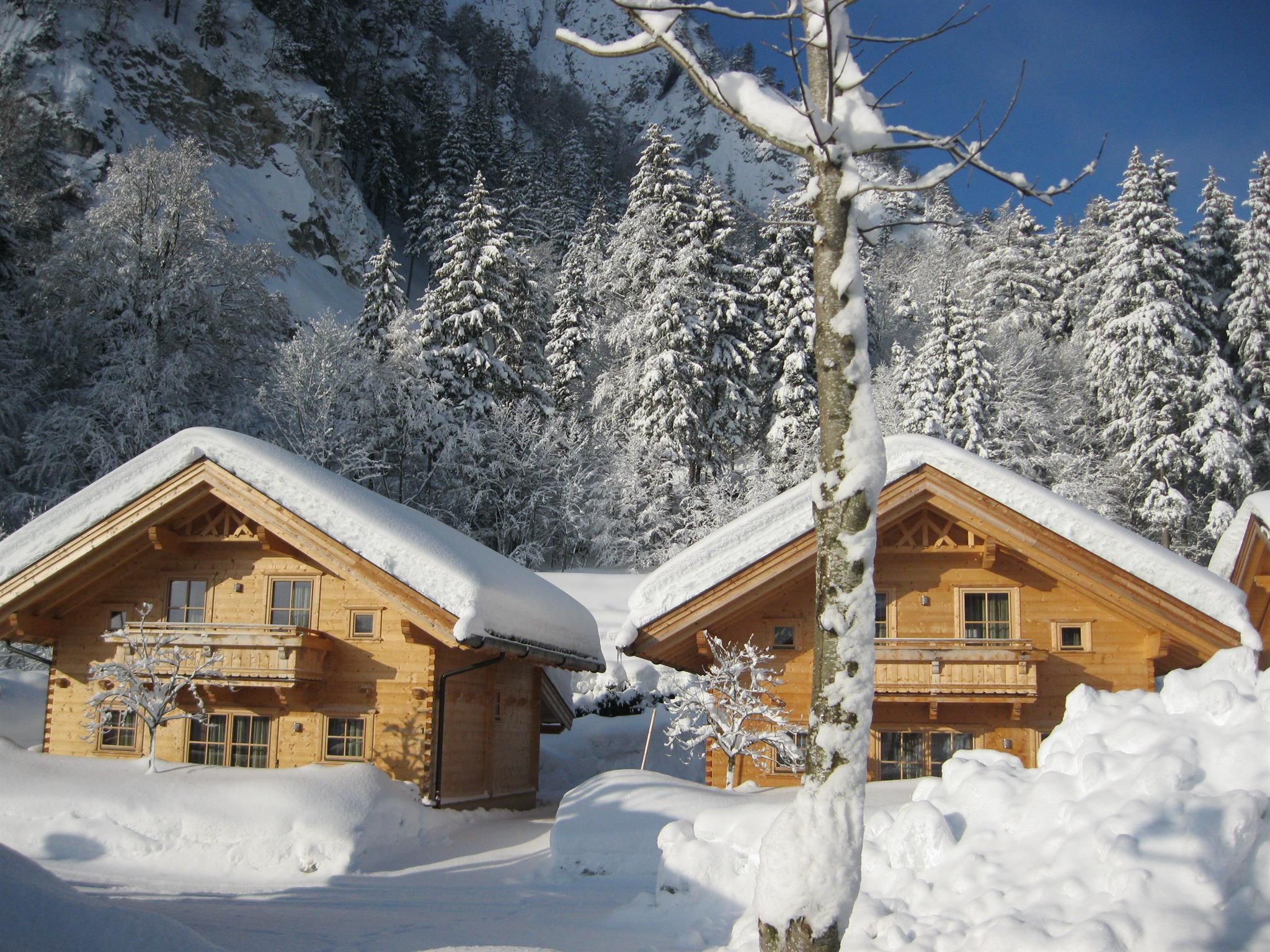 Two wooden cabins in the snow, surrounded by snow-covered pine trees. The landscape exudes a tranquil winter idyll.