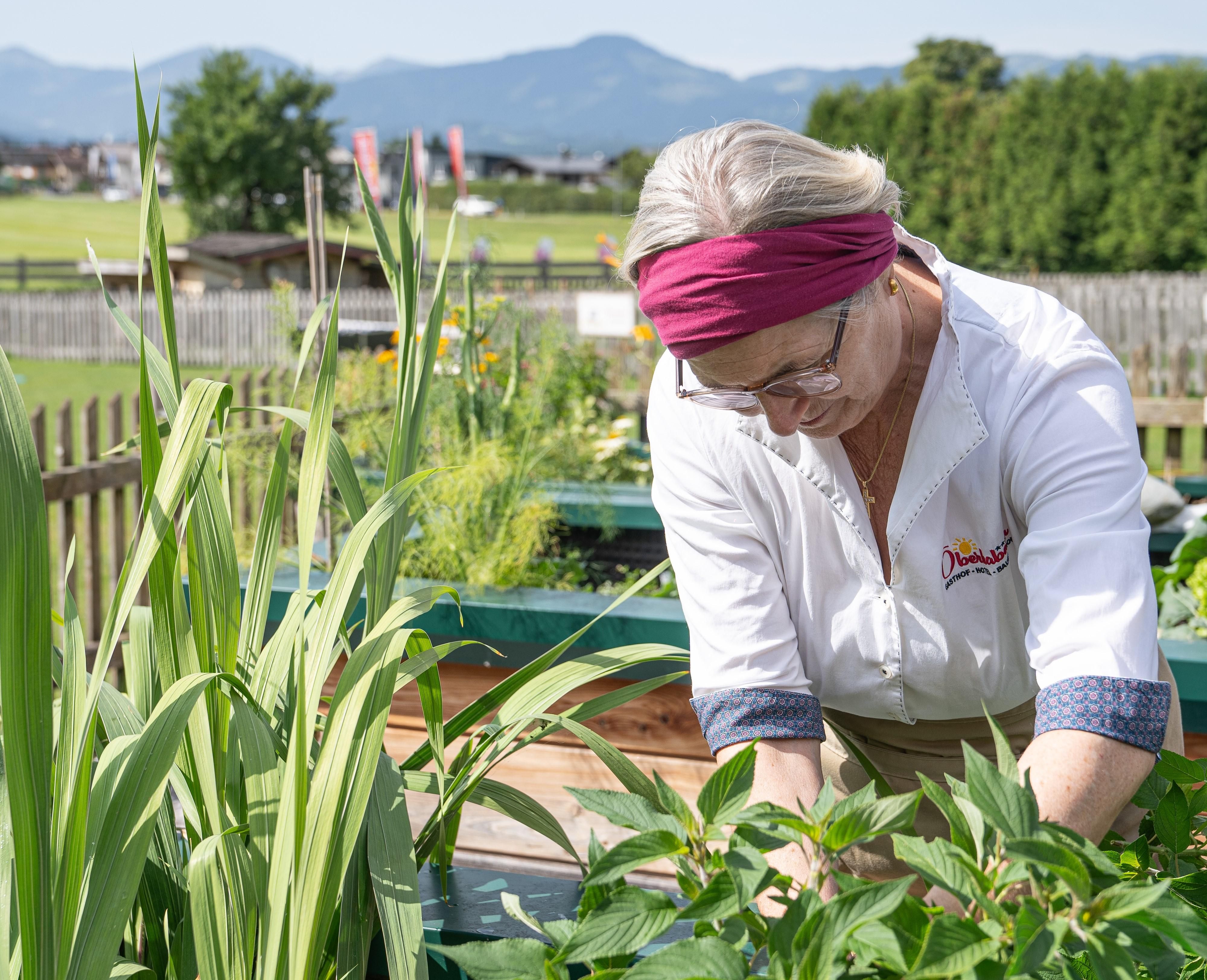 A person is working with plants in a garden. In the background, green meadows and mountains can be seen.