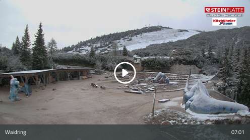 Webcamera Triassic Park