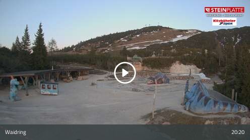 Webcamera Triassic Park