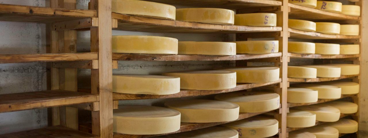 Zásoba sýrů z vlastní výroby