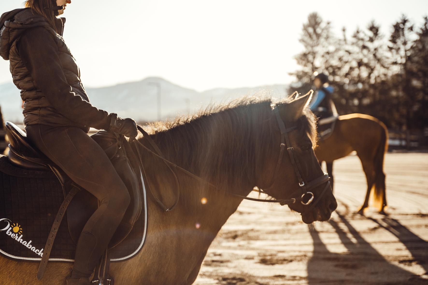 A person is sitting on a horse in the evening sun. In the background, additional riders and trees can be seen.