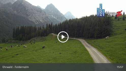 Webcamera Feldernalm