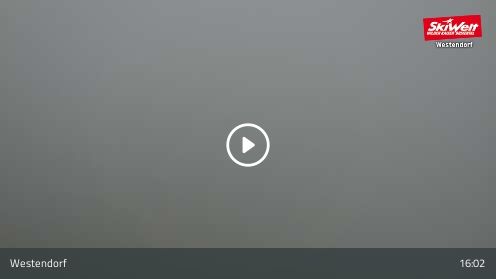 Webcamera Talkaser