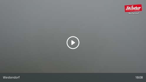 Webcamera Talkaser