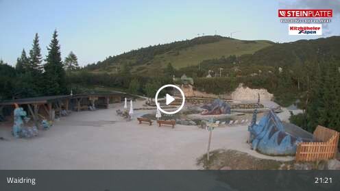 Webcamera Triassic Park