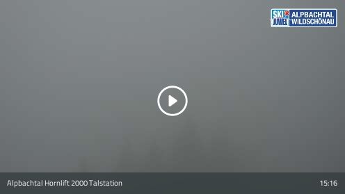 Webcamera Hornlift 2000 Talstation