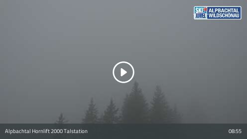 Webcamera Hornlift 2000 Talstation