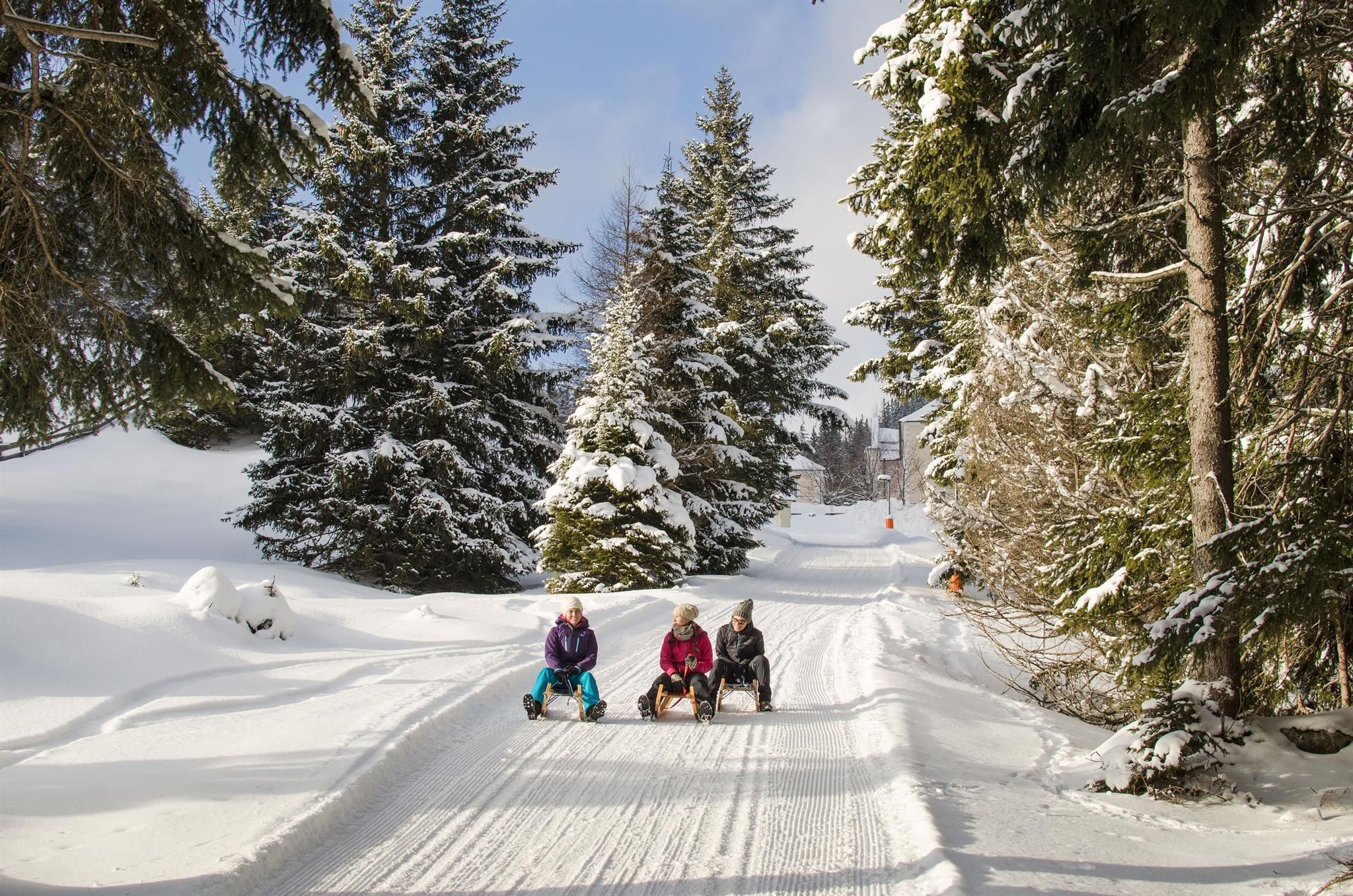 A snowy path surrounded by tall fir trees. Three people are sitting on sleds, enjoying the winter day.