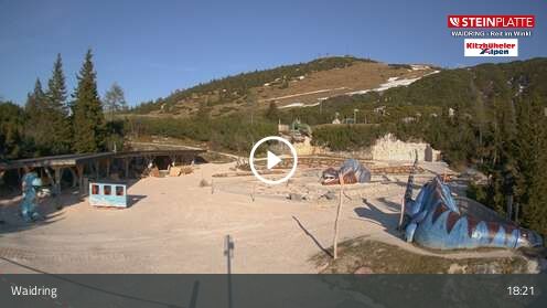 Webcamera Triassic Park