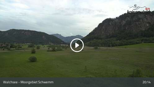 Webcamera Moorgebiet Schwemm