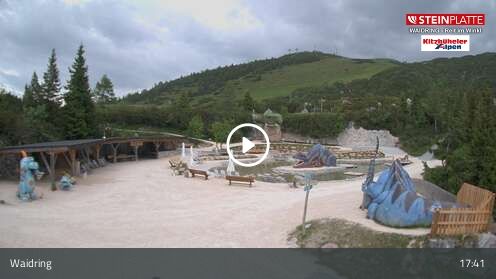 Webcamera Triassic Park