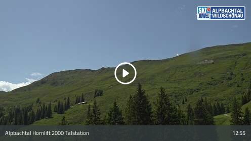 Webcamera Hornlift 2000 Talstation
