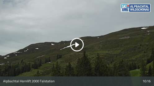 Webcamera Hornlift 2000 Talstation