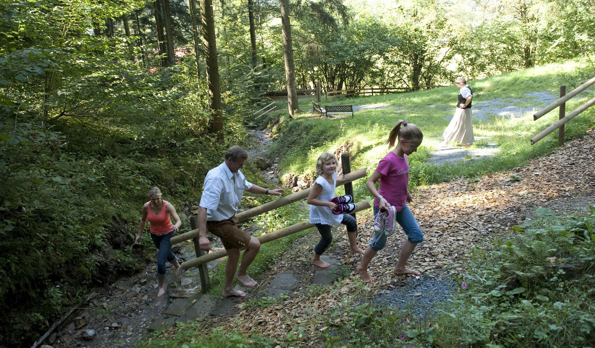 A family is hiking up a forest path. In the background, there are trees and a green meadow.