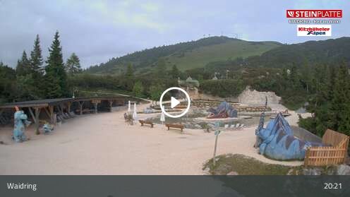 Webcamera Triassic Park
