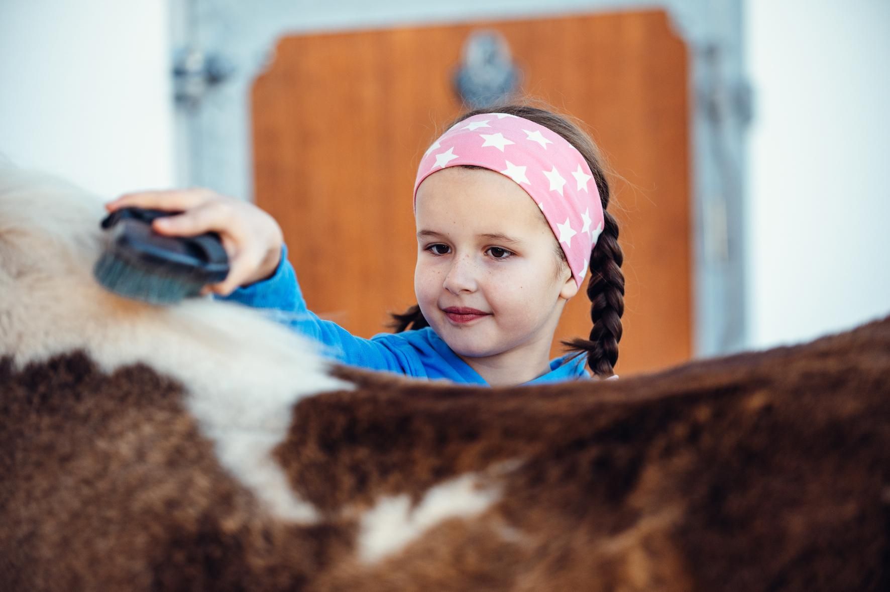 A girl is brushing a horse with a curry comb. She is wearing a headband with stars and is smiling.