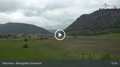 Webcamera Moorgebiet Schwemm