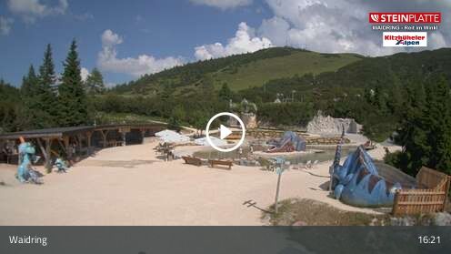 Webcamera Triassic Park