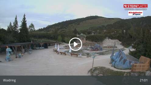 Webcamera Triassic Park