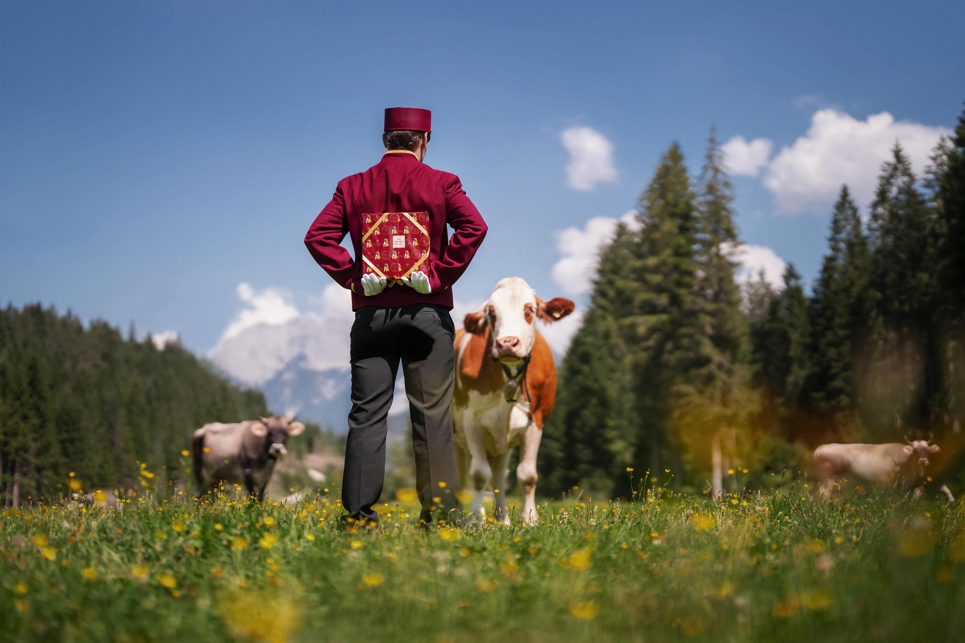 A man in traditional clothing is standing on a meadow and looking at a cow. In the background, there are more cows and a picturesque mountain landscape visible.