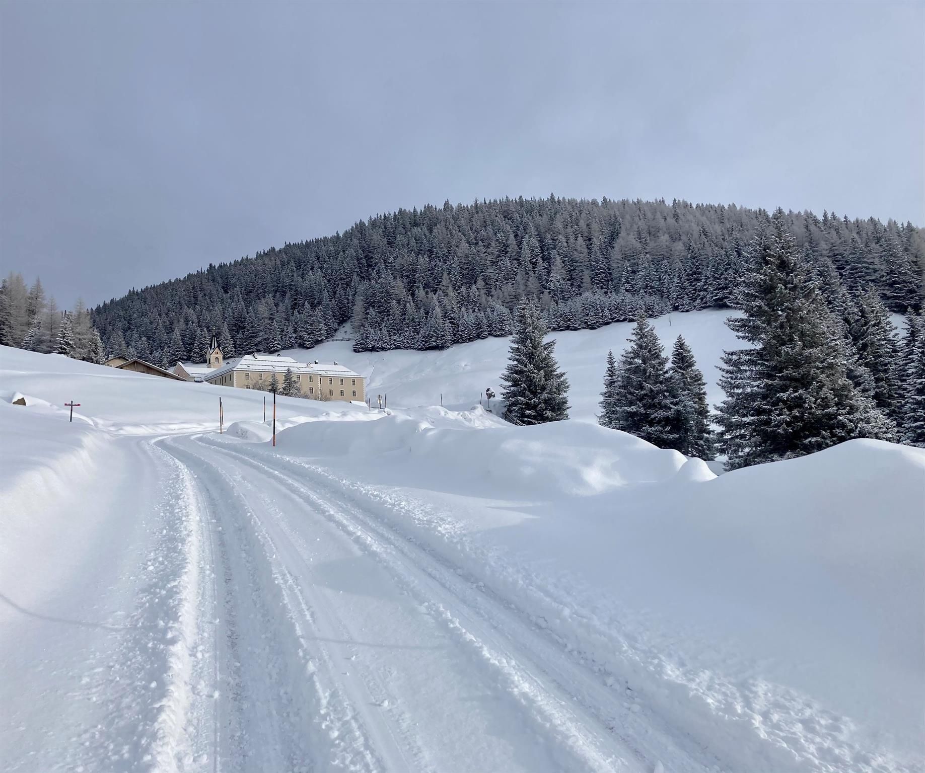 A snowy path leads through a winter landscape. In the background, there are snow-covered hills and fir trees.