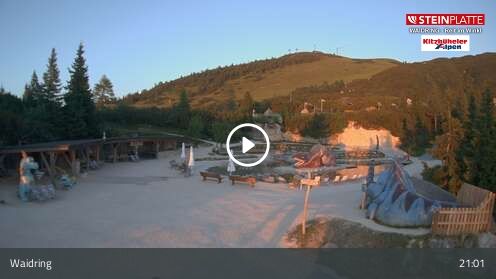 Webcamera Triassic Park