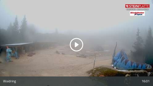 Webcamera Triassic Park
