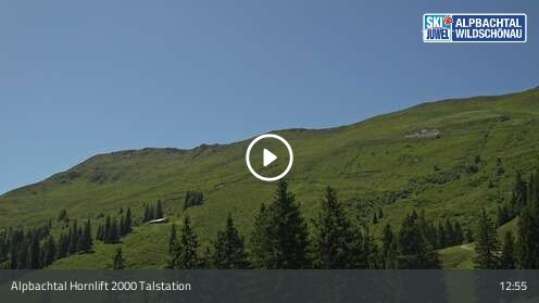 Webcamera Hornlift 2000 Talstation