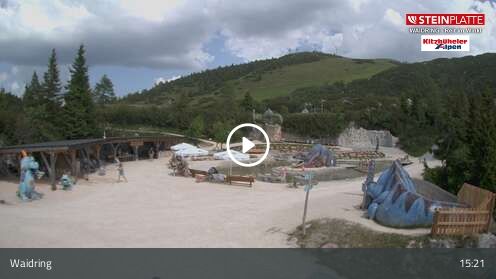Webcamera Triassic Park