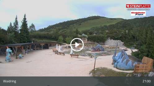Webcamera Triassic Park