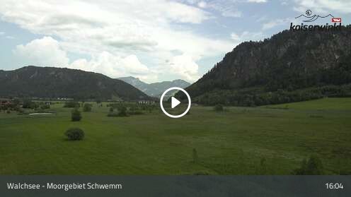 Webcamera Moorgebiet Schwemm