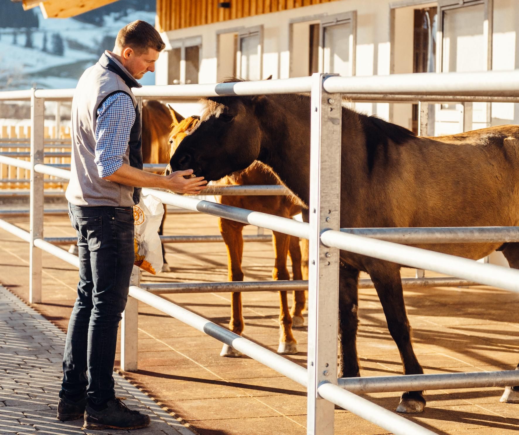 A man is standing by a fence, petting a horse. In the background, more horses can be seen.