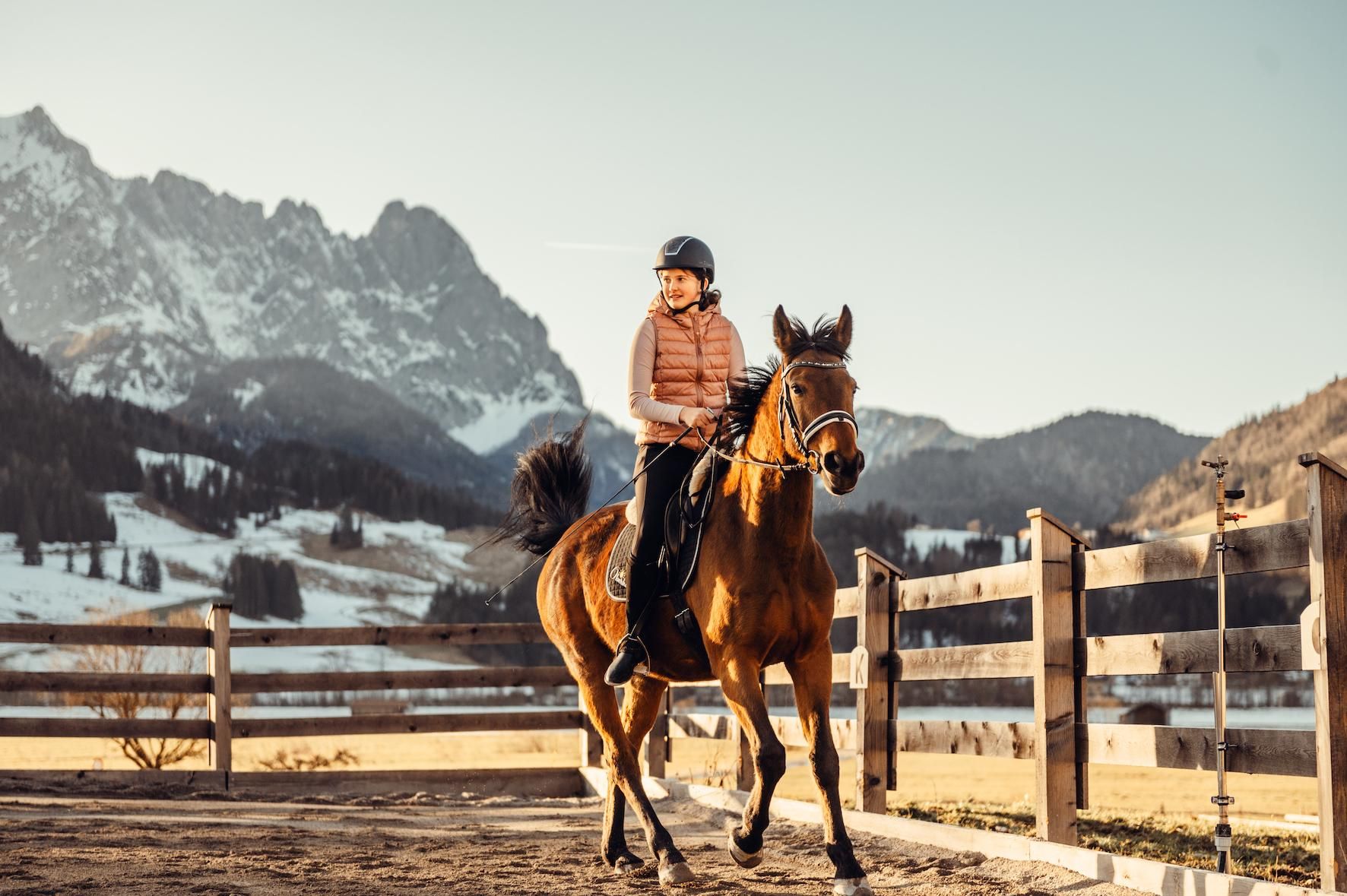 A rider on a horse in a rural setting. In the background, there are mountains and a clear sky.
