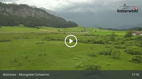 Webcamera Moorgebiet Schwemm