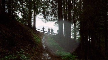 Peter-Sagan-Trail, © Tirol Werbung / Sebastian Schels
