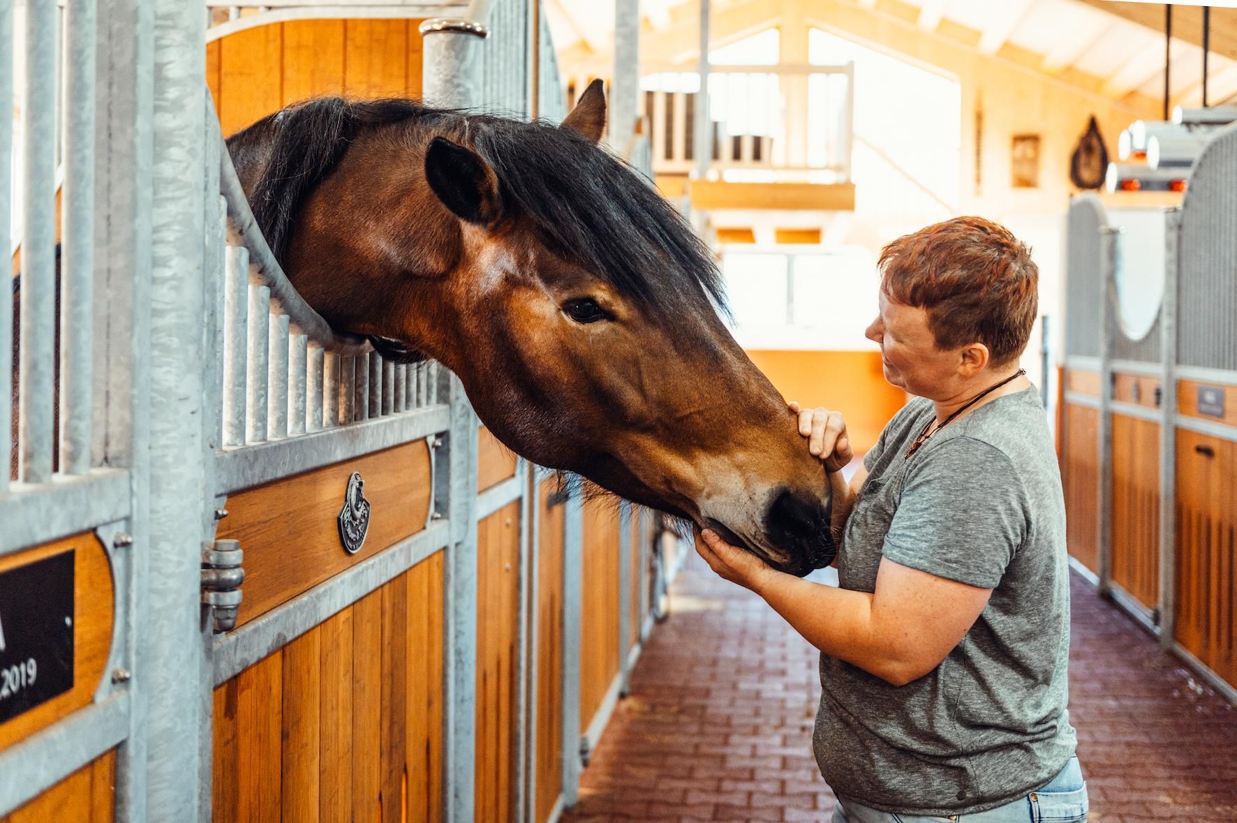 A person is standing in a stable and petting a horse. The stable has a light wooden paneling and provides a warm atmosphere.