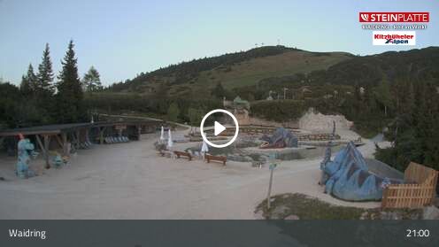 Webcamera Triassic Park