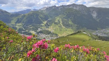 Stezka alpských růží v St. Antonu, © TVB St. Anton am Arlberg/Josef Mallaun