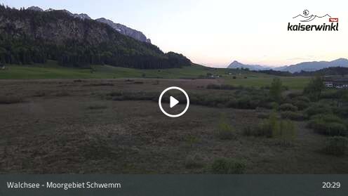 Webcamera Moorgebiet Schwemm