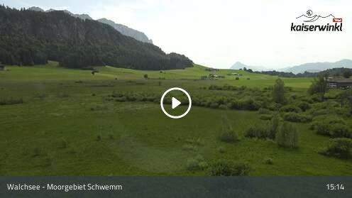 Webcamera Moorgebiet Schwemm