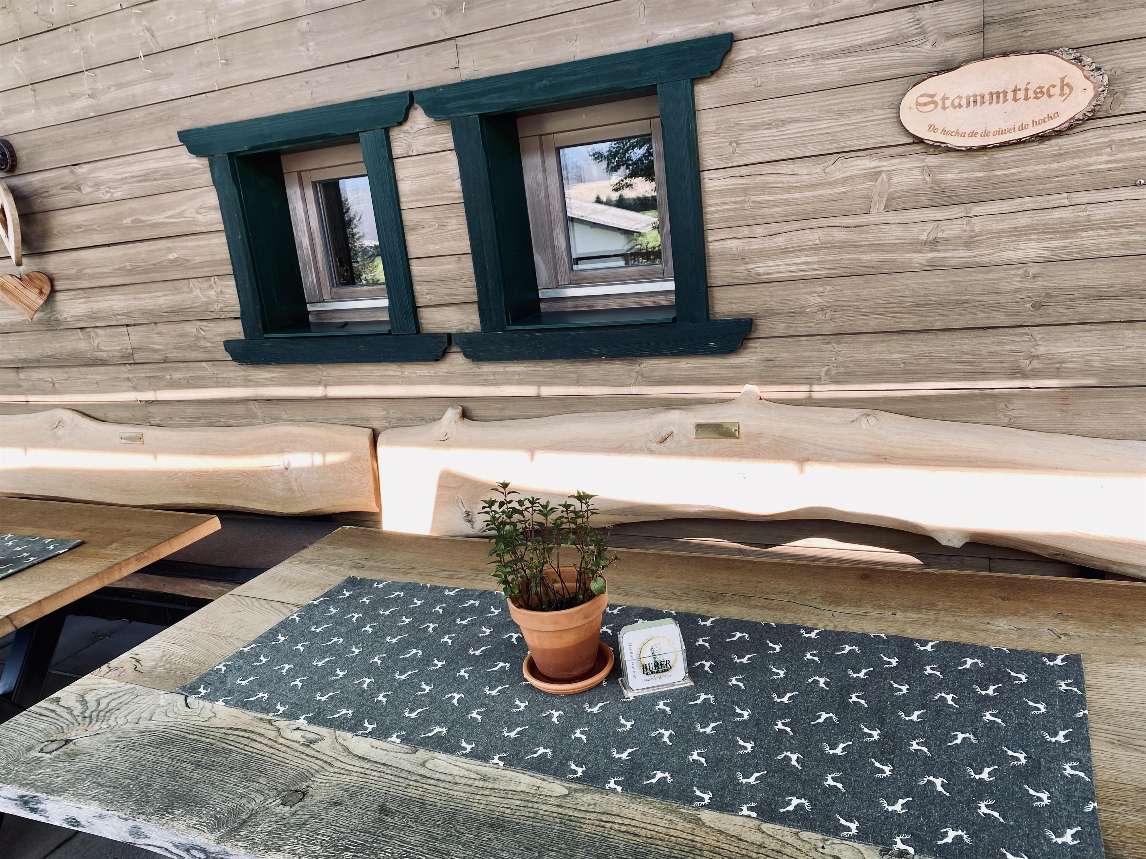A cozy table with a flower pot and a table mat. In the background, you can see two windows of a wooden house.