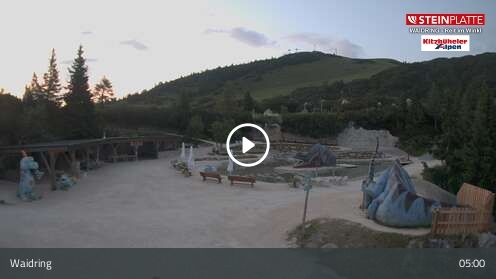 Webcamera Triassic Park