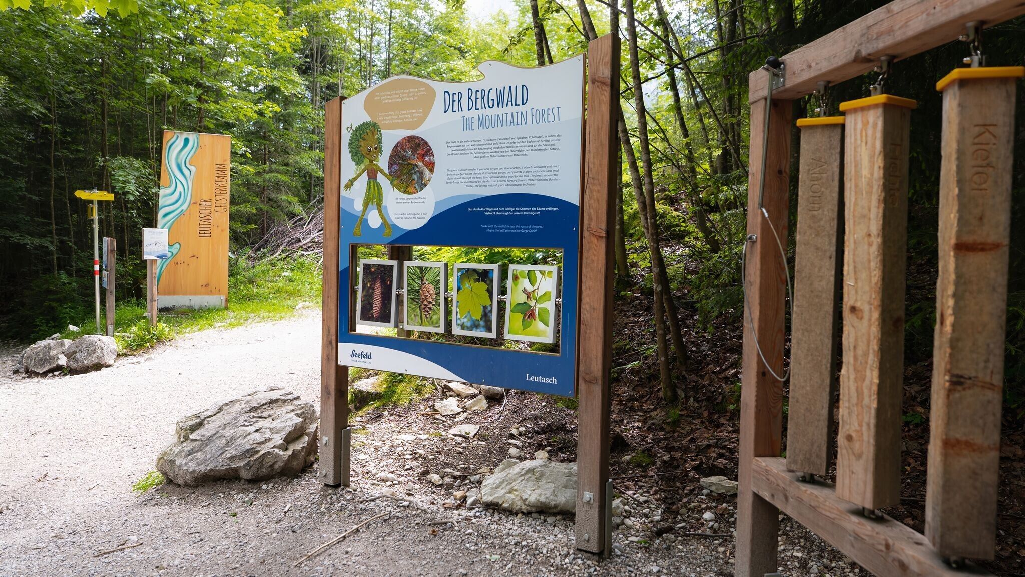 aHR0cHM6Ly91cGxvYWRzLm1hcHNlcnZpY2VzLmV1