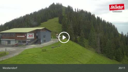 Webcamera Talkaser