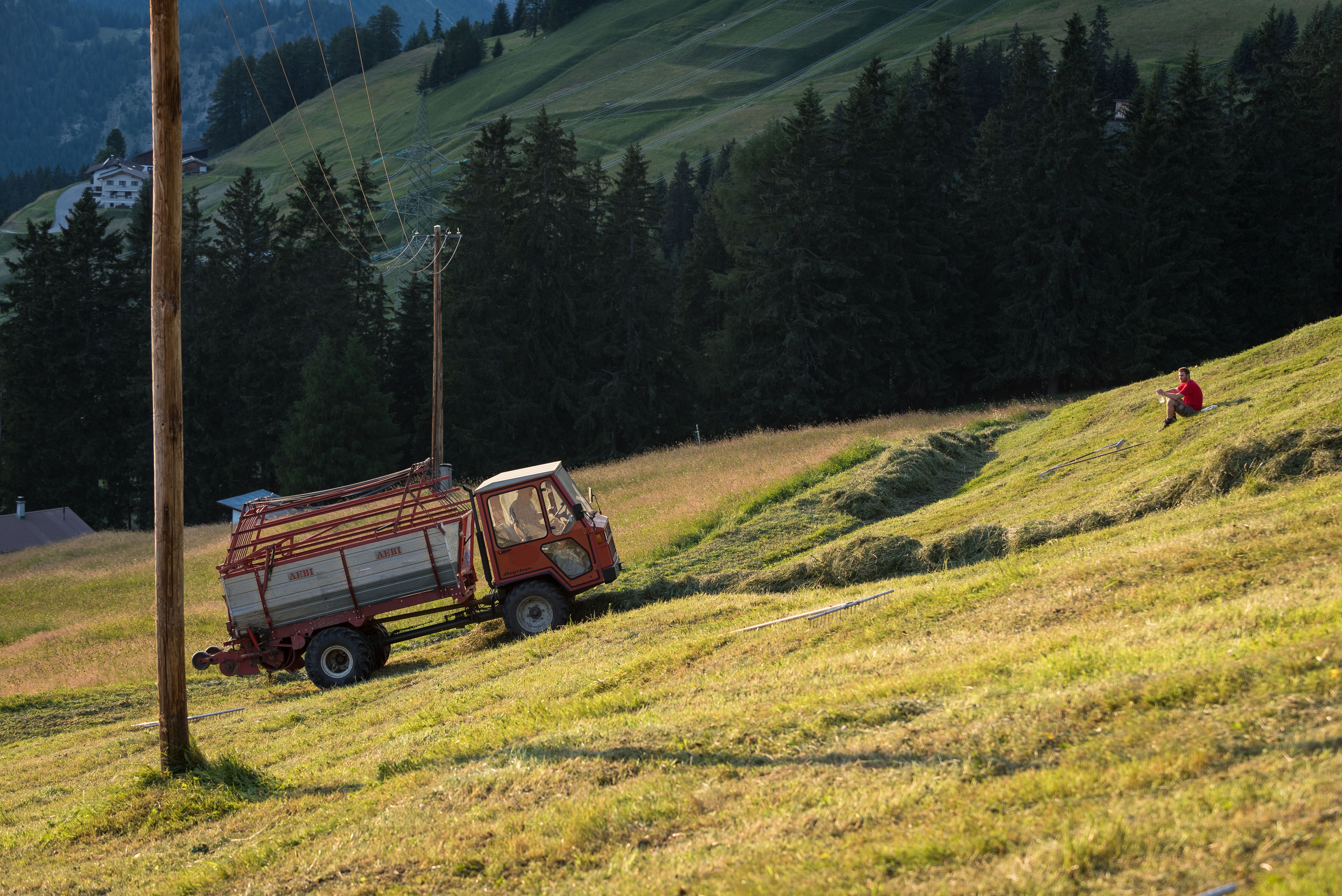 Stableshof Nauders, Helfen auf der Alm