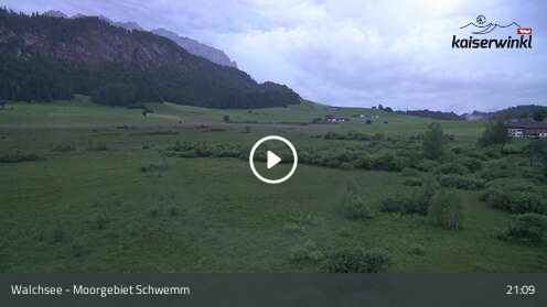 Webcamera Moorgebiet Schwemm