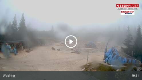 Webcamera Triassic Park