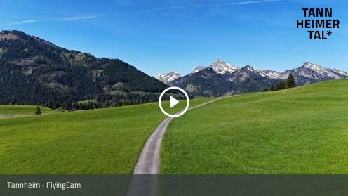 Webcamera Tannheim - FlyingCam